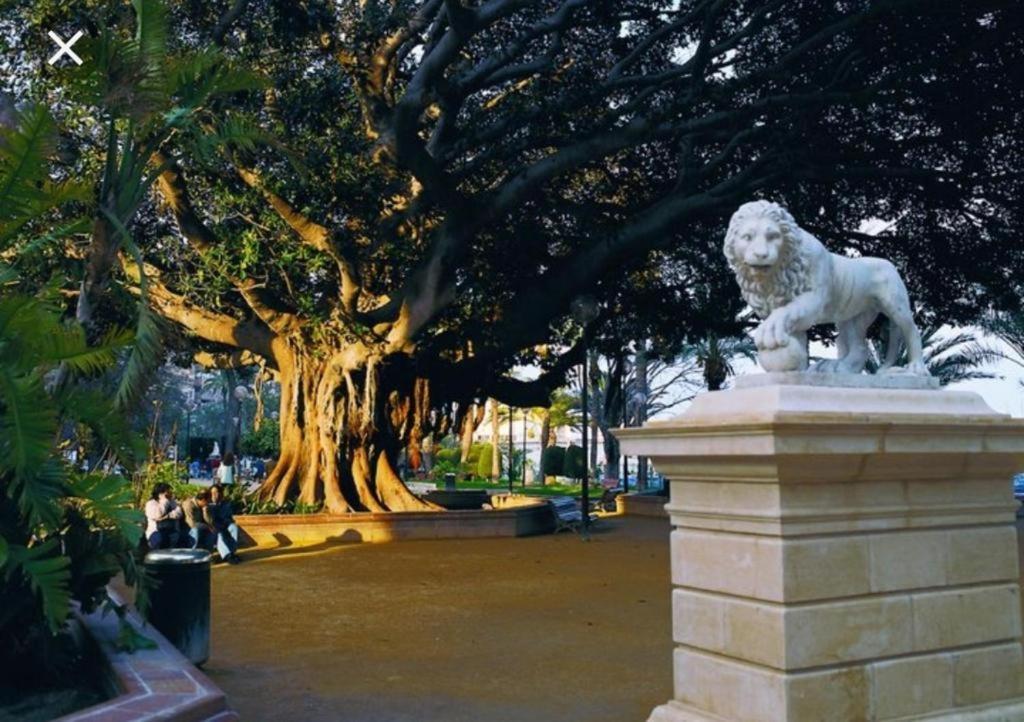 The Terrace Canalejas لقنت المظهر الخارجي الصورة